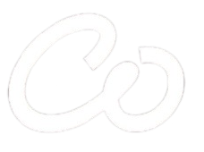 Partner 1